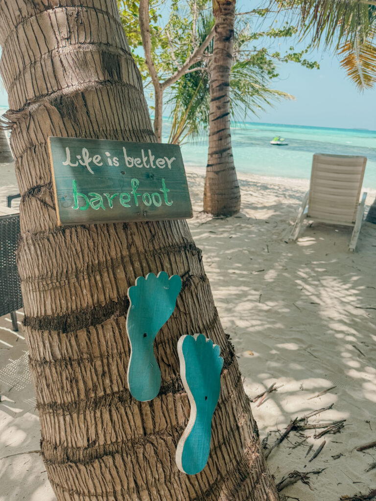 This image has an empty alt attribute; its file name is IMG_1716-768x1024.jpg