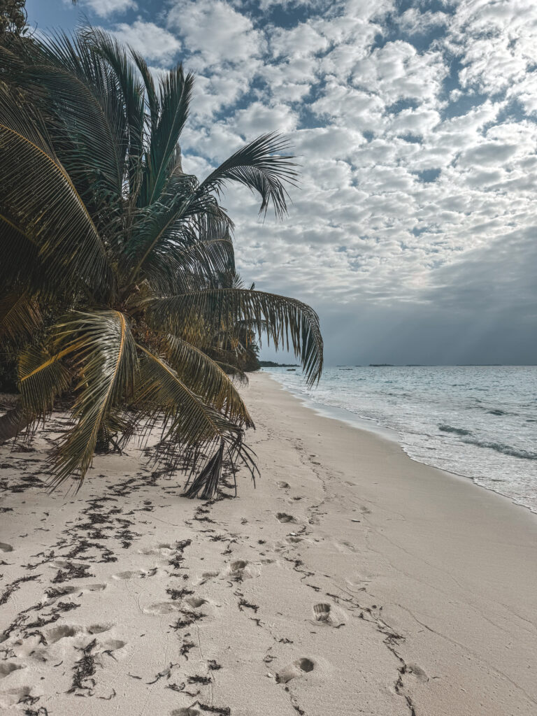 This image has an empty alt attribute; its file name is IMG_1878-768x1024.jpg