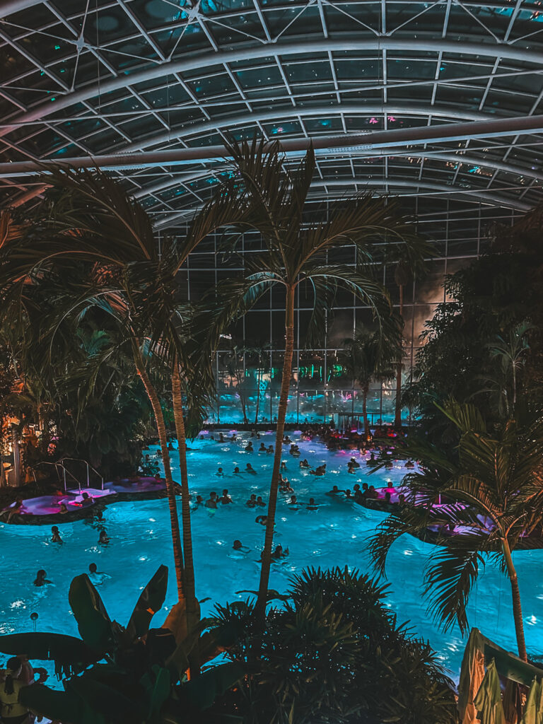 This image has an empty alt attribute; its file name is IMG_6604-768x1024.jpg